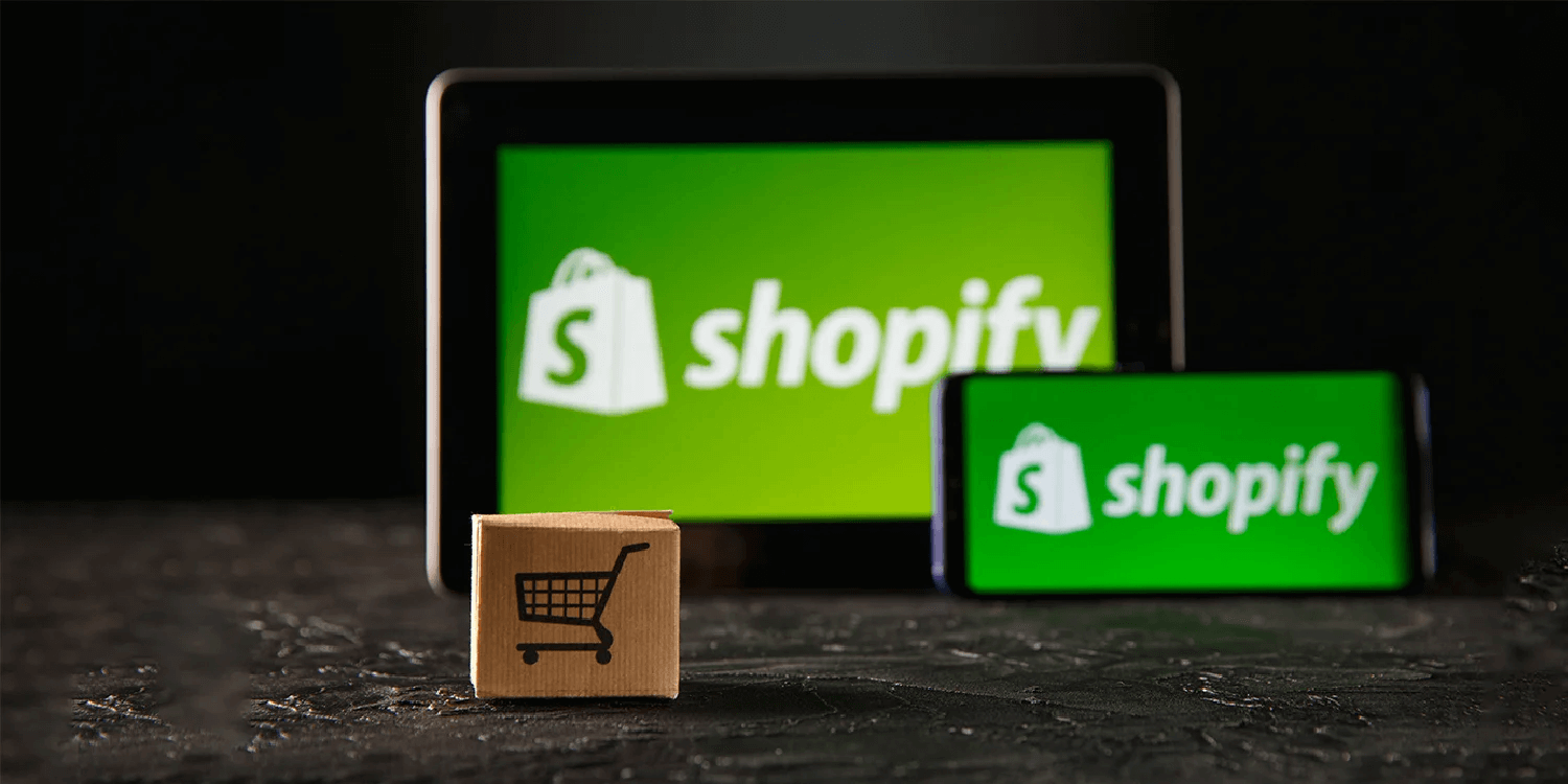 shopify store setup page's banner